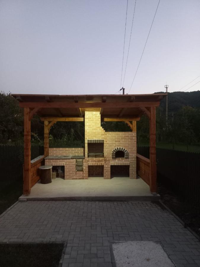 Villa Casa Edy Vişeu de Sus Exterior foto